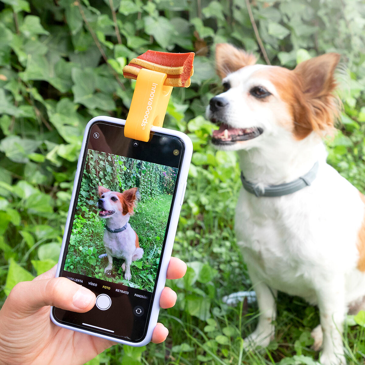 Selfie-Clip voor Huisdieren
