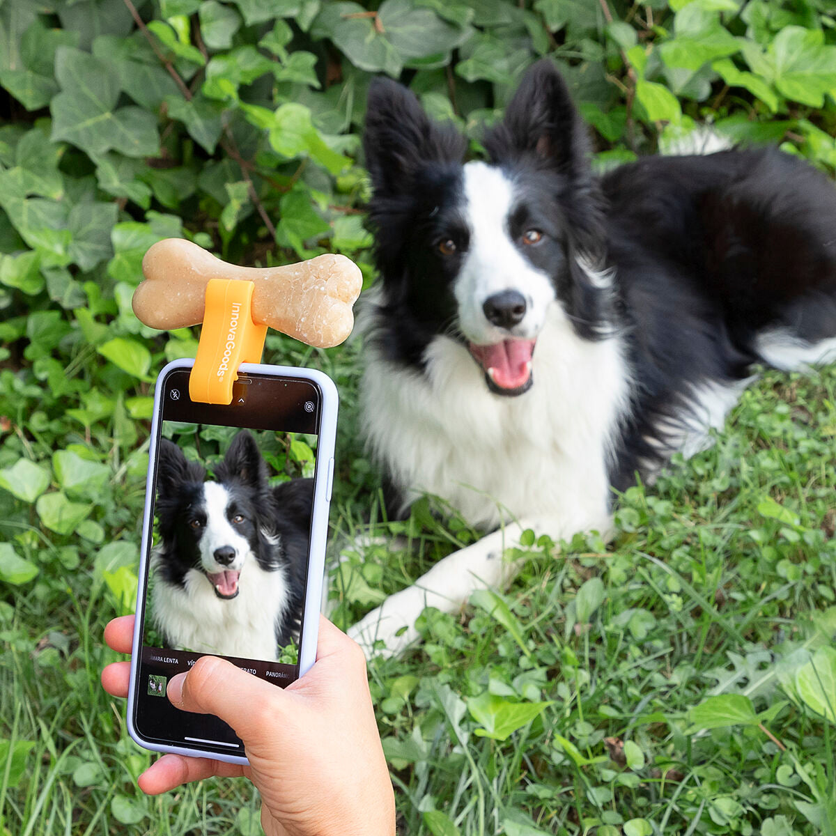 Selfie-Clip voor Huisdieren
