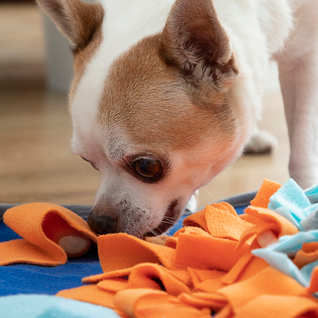 Snuffelmat voor Honden