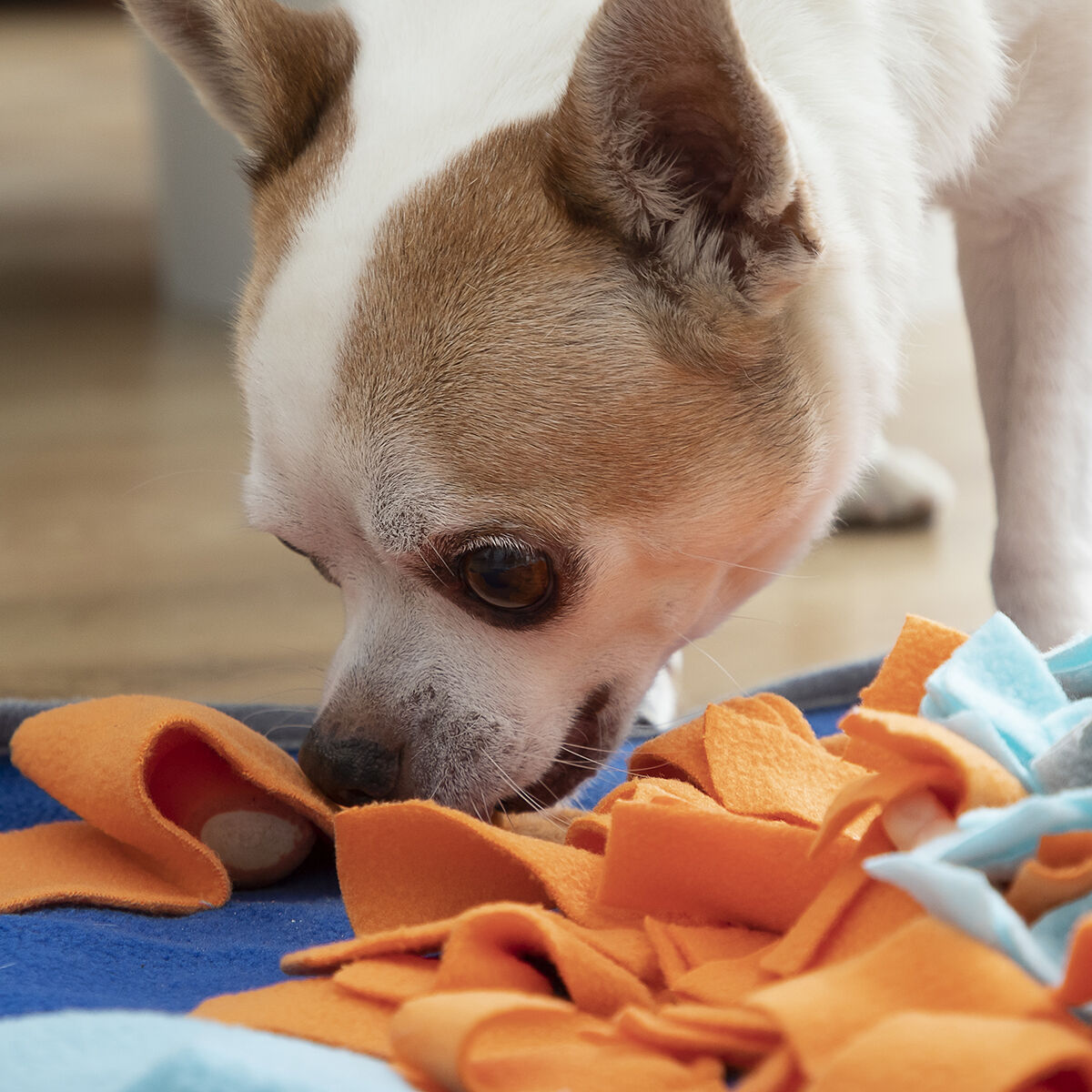 Snuffelmat voor Honden