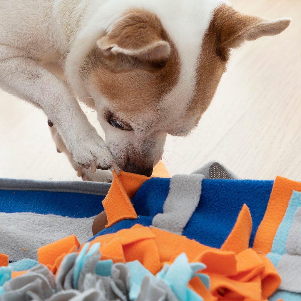 Snuffelmat voor Honden